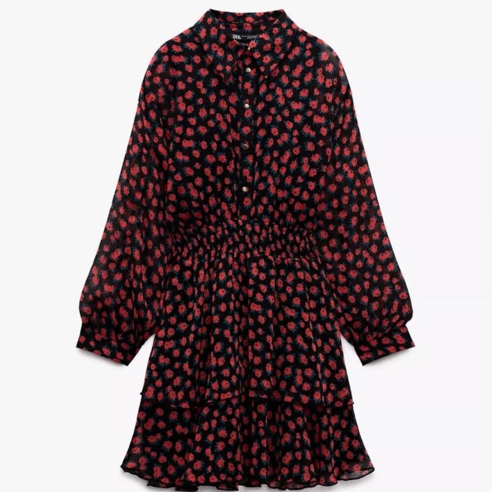 Zara Floral Print Dress